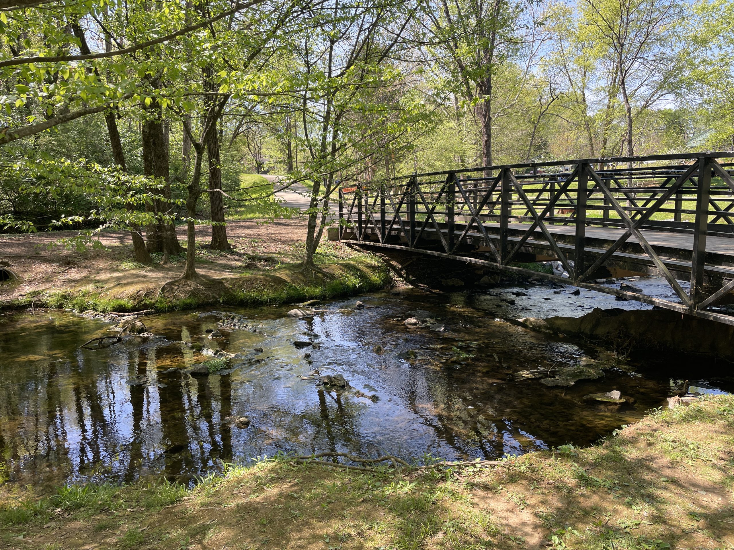 Wooden bridge over a creek in a peaceful park in Farragut, Tennessee