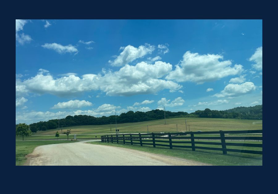 Rural landscape in Philadelphia Tennessee featuring rolling farmland, fencing, open fields, and scenic East Tennessee countryside under a blue sky.
