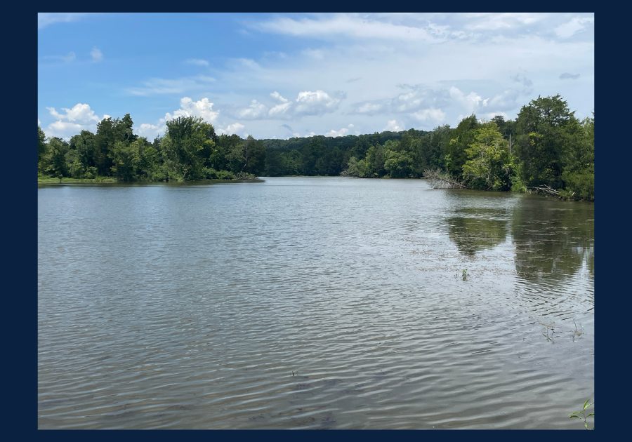 Calm lake surrounded by trees in East Tennessee on a summer day with blue skies and scattered clouds.