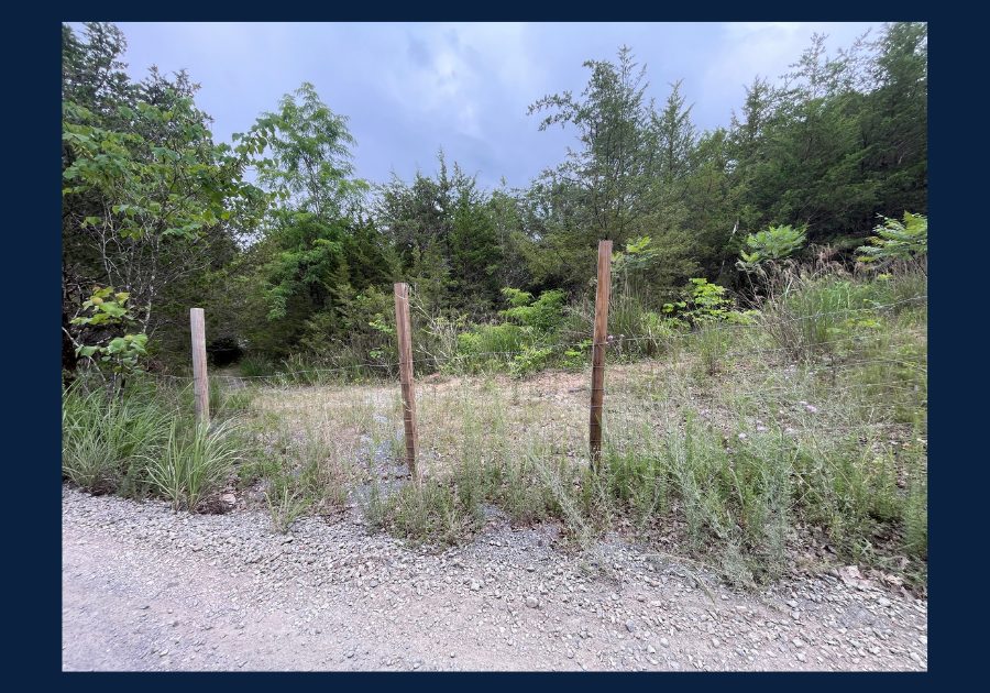 Wire fencing beside a gravel entrance on wooded rural land in East Tennessee