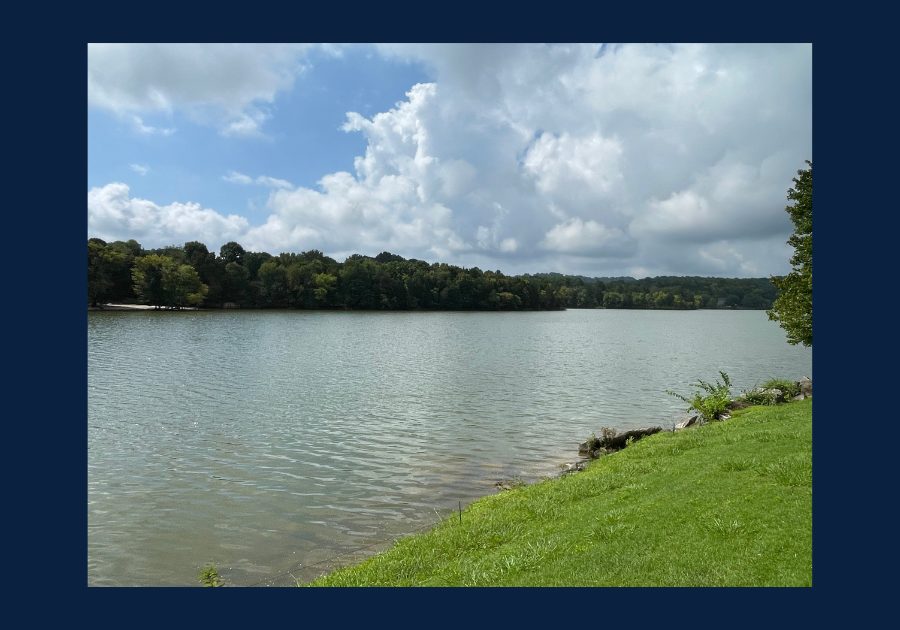 Grassy shoreline along a lake in Knox County, Tennessee, with calm water, wooded hills, and a partly cloudy sky.